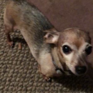 Meet your Posher, Lanie